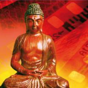 Edición especial: «El budismo y el cine»