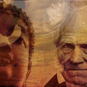 Meditación, experiencia estética y el pensamiento de Schopenhauer