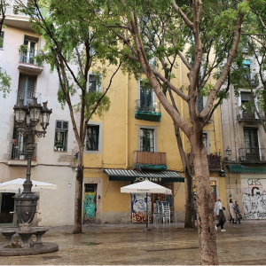 Zen en la Ribera de Barcelona
