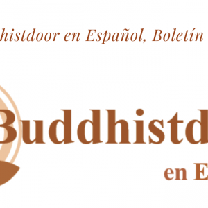 Buddhistdoor en Español, Boletín 28