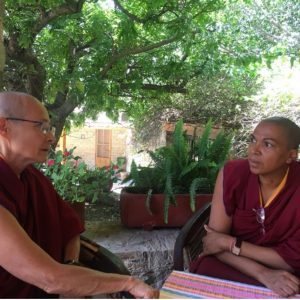 Los budistas, sus valores y prácticas, en países de habla hispana. Una exploración sociológica. Tercera parte.