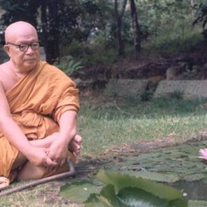 Buddhadāsa y los lenguajes del Dhamma (I)