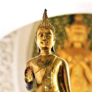 El Dharma y la paz perpetua