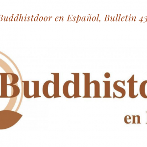 Read more about the article Buddhistdoor en Español, Bulletin 43