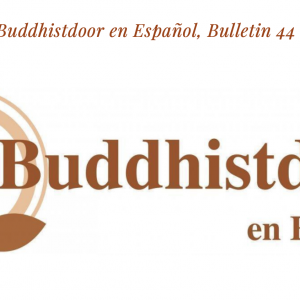 Read more about the article Buddhistdoor en Español, Bulletin 44