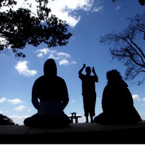 Read more about the article Dharma de Recuperación: un programa budista entre pares