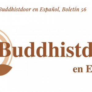 Read more about the article Buddhistdoor en Español, Boletín 56