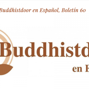 Read more about the article Buddhistdoor en Español, Boletín 60