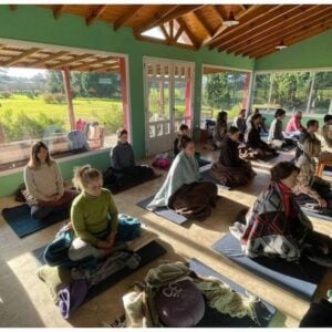 Read more about the article La meditación vipassana y el mindfulness hoy: entre la secularización y el budismo moderno