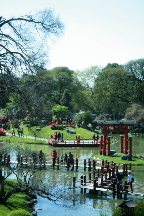Los árboles del fondo son un ejemplo de “paisaje prestado” como integración con el entorno dado que varios de ellos están por fuera del Jardín Japonés de Buenos Aires. Imagen cortesía de la autora